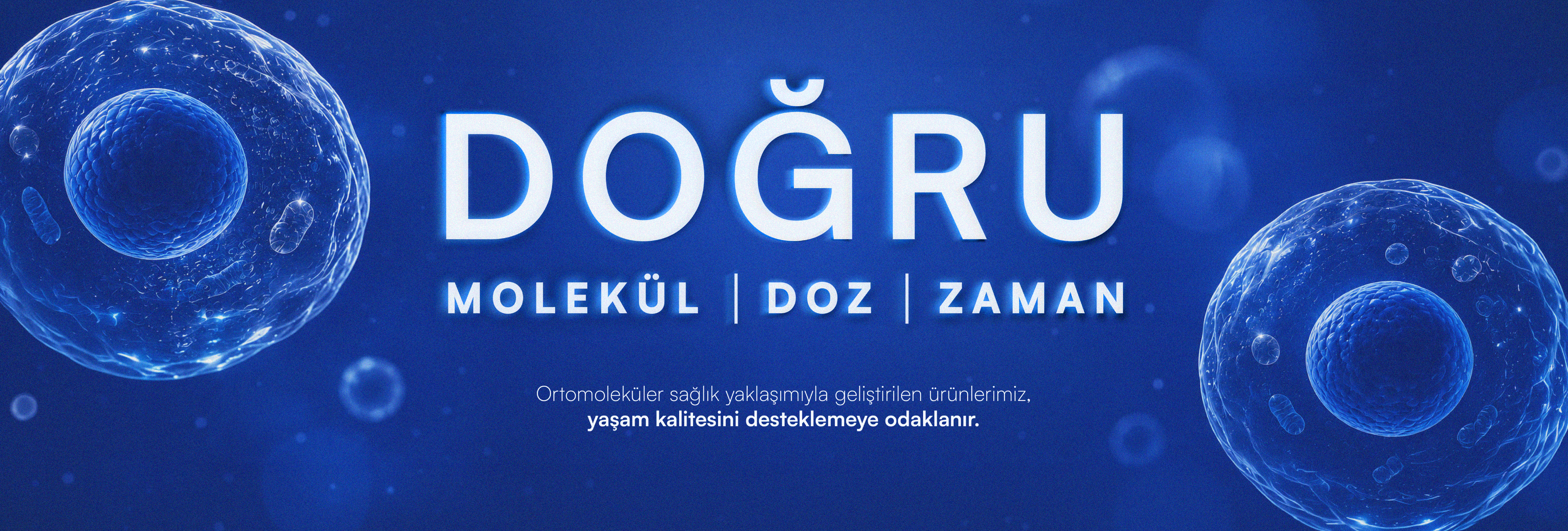 Holimer ana sayfa bannerı